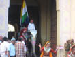 jaipur travel | royal flag on elephant in jaipur teej festival