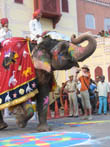 jaipur travel | decorated elephant in jaipur teej festival