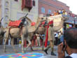 jaipur tourism | camel accouterment in teej festival of jaipur