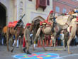 jaipur tourism | camel accouterment in teej festival of jaipur