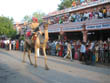 jaipur tourism | warrior with huge gun on camel in teej festival procession jaipur